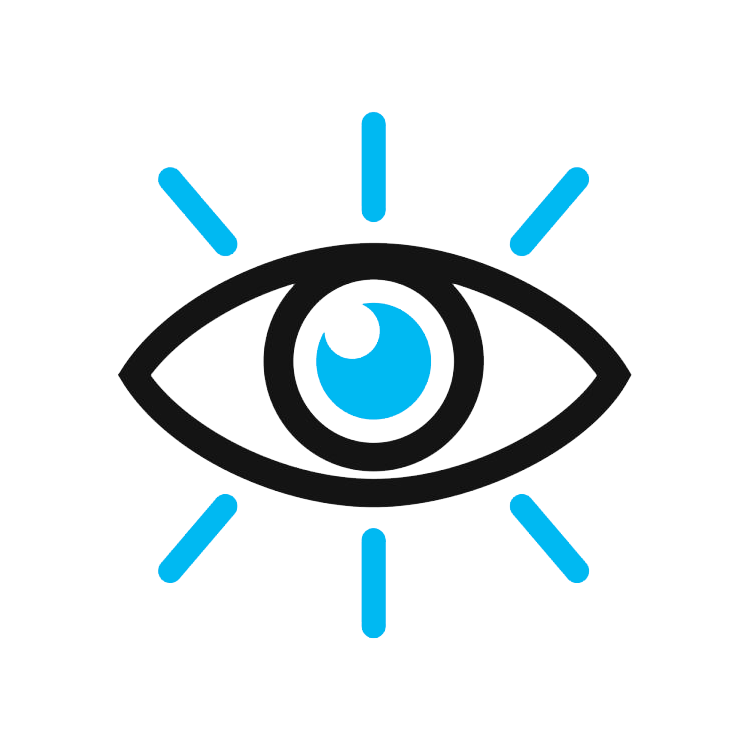 1. Vision