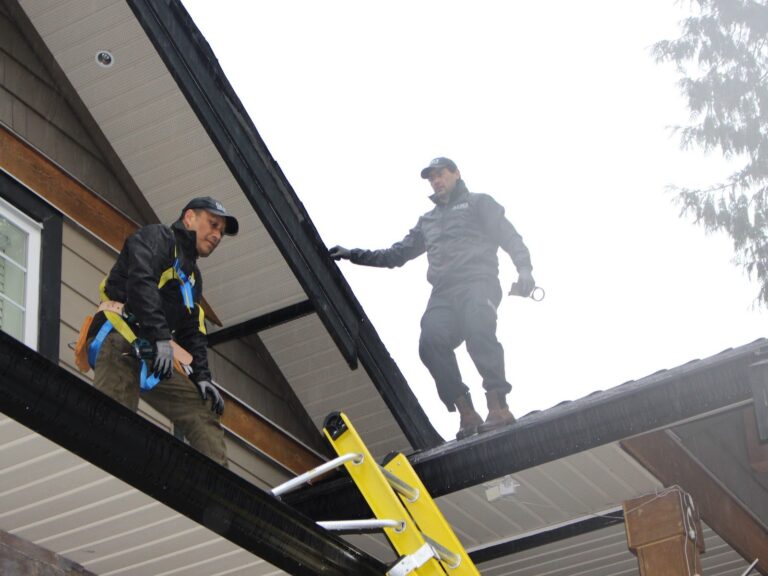 Cleany X team working on a roof with harnesses and a ladder