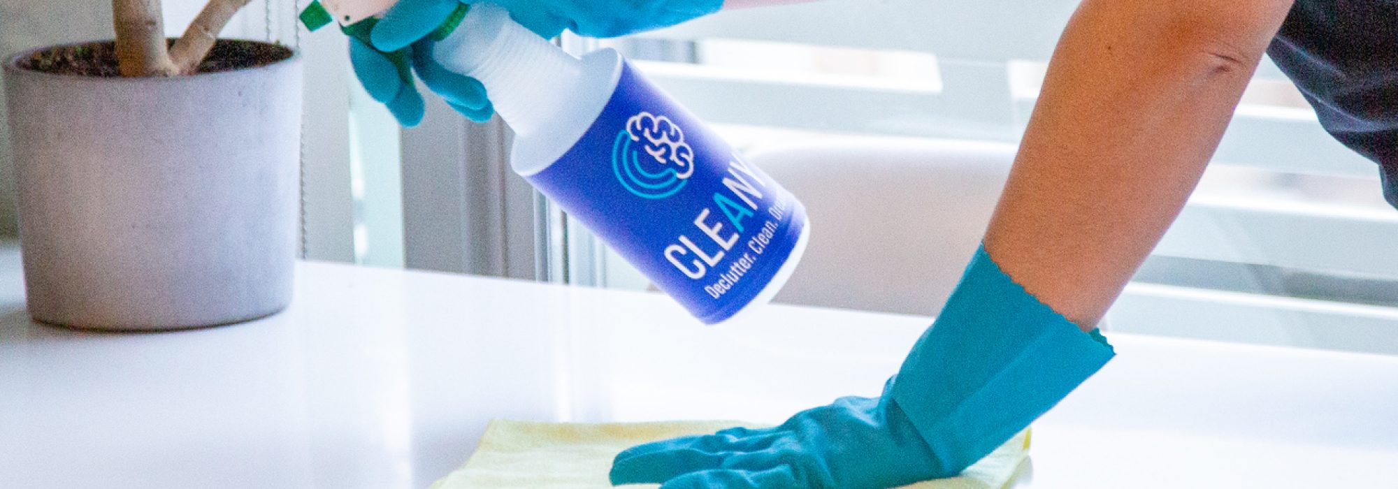 Cleaning Services in Port Coquitlam